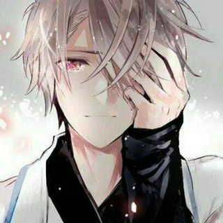 Telegram: view @yunbaitech chat